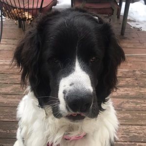 Meet your Posher, Dan